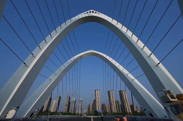 国内首座碳纤维斜拉索车行桥通车!