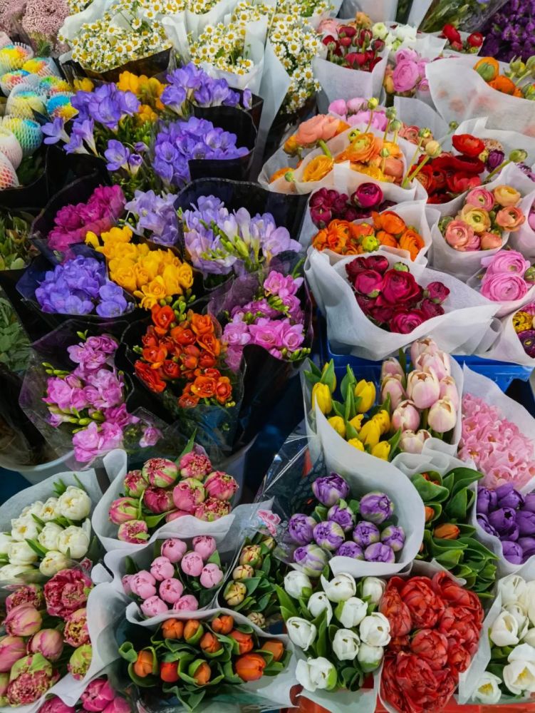 一年买卖百亿鲜花斗南离世界第一还有多远