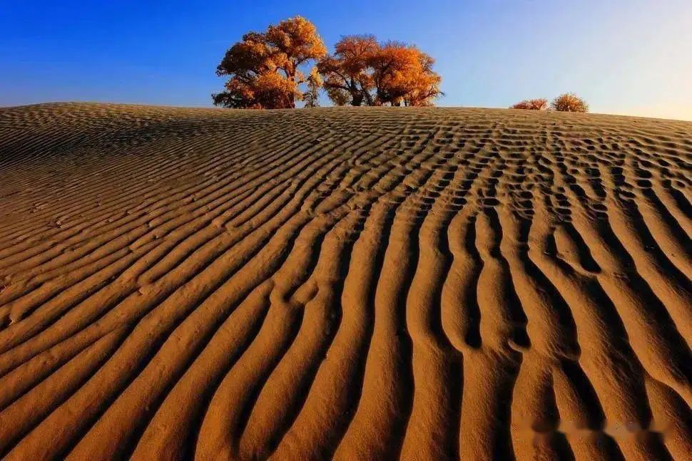 我国的沙漠地区,恰恰也是风力最强盛,最稳定的地区.