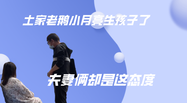 土家老鹅小月亮生孩子了,夫妻俩却是这态度,生的男孩女孩呢?