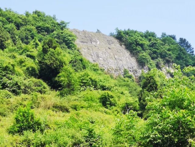 桐梓县花秋镇木堰村黄道山组核桃坪崩塌地质灾害治理工程强化地灾综合