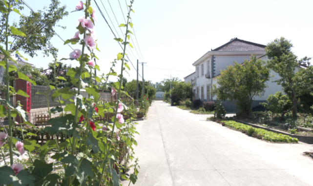 【走进乡村看振兴】衡山镇永康桥村:发展特色产业 助力乡村振兴
