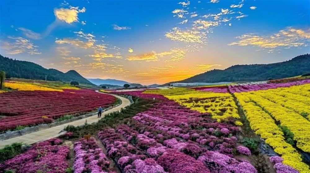 康养小镇全貌麻江县乌羊麻康养小镇请继续关注贵州省民政厅微信公众号