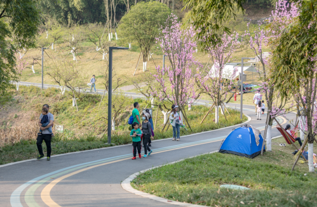 雙流人運動場景每天不重樣森林公園,白河公園.