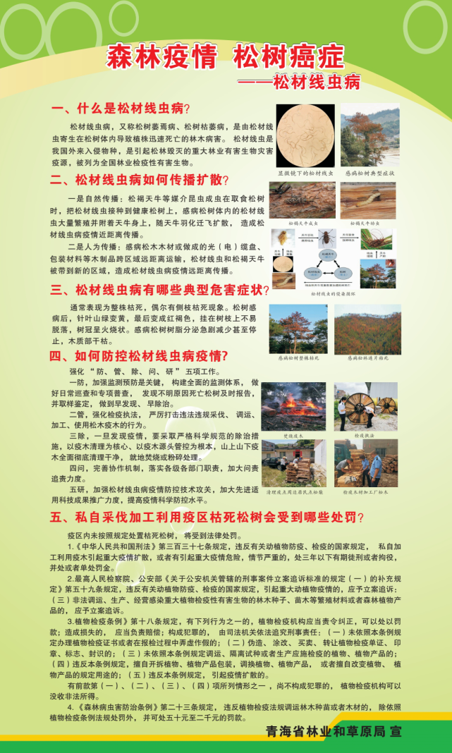 防灾减灾青海省林草生物灾害防控宣传周科普