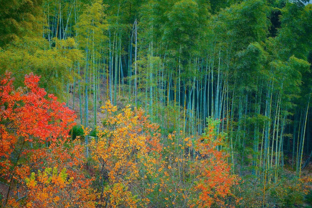 我国首批15个天气气候景观观赏地出炉