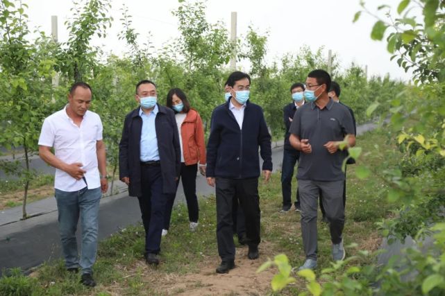 县委书记张剑调研美丽乡村建设,疫情防控,现代农业园区发展情况