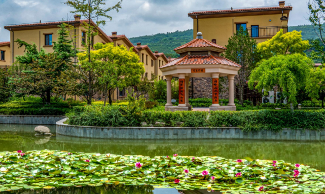 白鹿溪谷|摄影大赛火热报名中