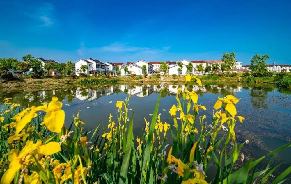 高作镇这个项目审批通过