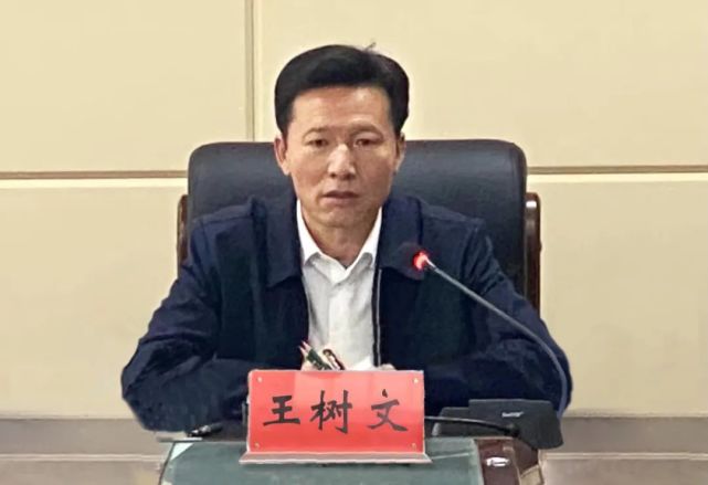 龙沙区各项事业不断迈上新台阶,实现新跨越,龙沙区委书记王树文作出