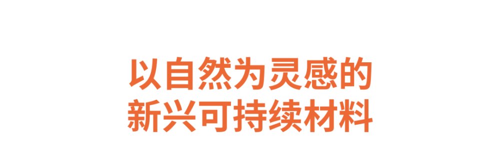 芬兰领导人宣布“支持加入北约”，俄迅速回应：将制定应对措施