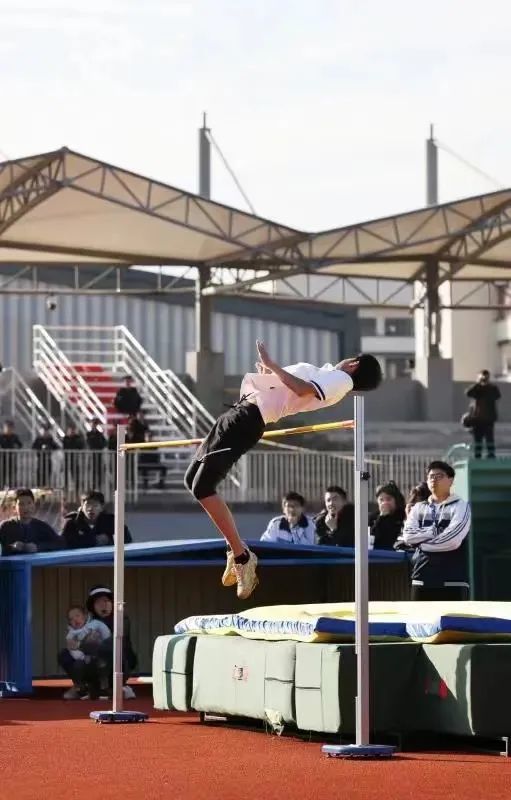 2022年苍南县灵溪中学(苍南县三禾高级中学)开始招特长生!_腾讯新闻