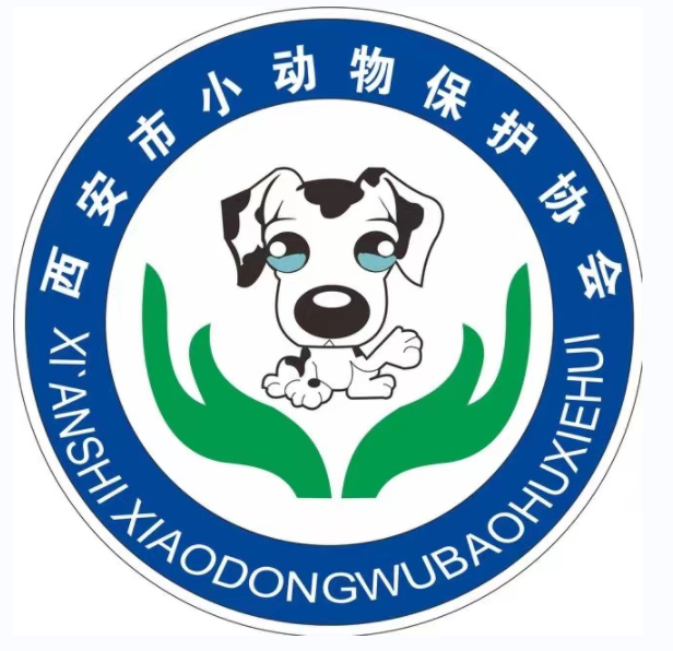 旺拎拎助力动物救助中心专业救治深耕动物生命健康,守护小动物健康