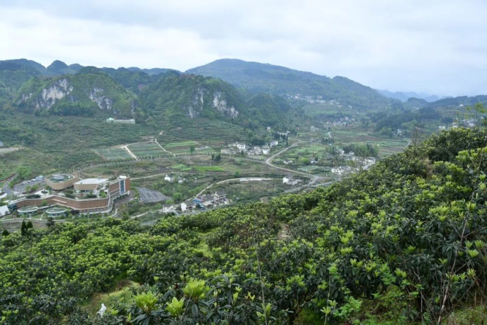 开阳南江乡苗寨村扎实推进垃圾分类扮靓美丽乡村