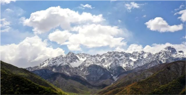 太子山国家森林公园图片