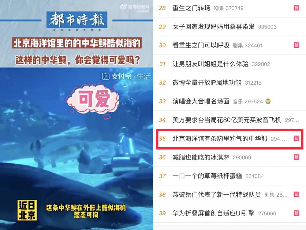 数千网友在支付宝生活频道买预购票，为看北京海洋馆中华鲟