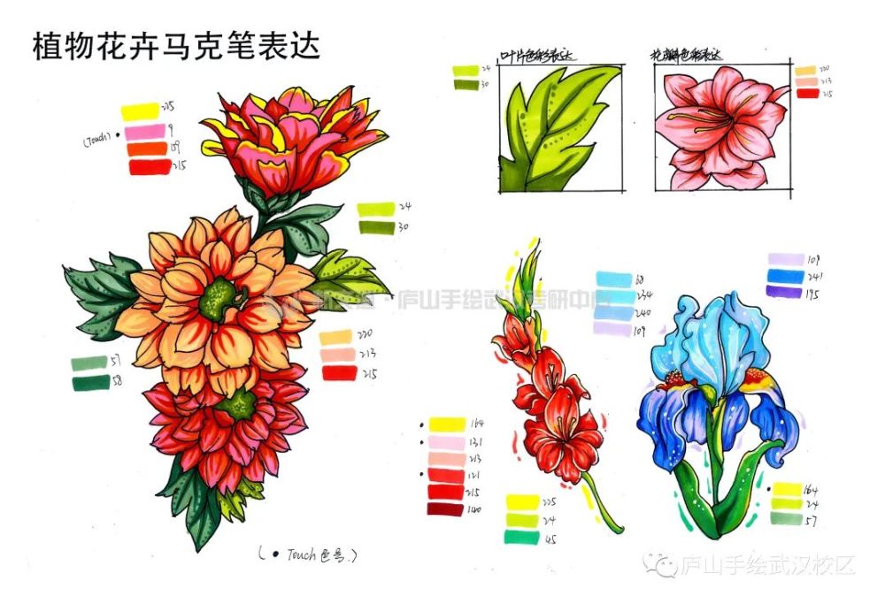 每周一绘视觉传达花卉元素马克笔表达