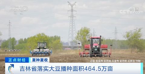夏种夏收｜吉林省：超额完成任务落实大豆播种面积464.5万亩