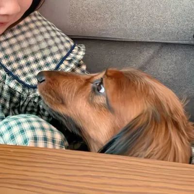 情侣头像 l 怎样才算真正喜欢一个人