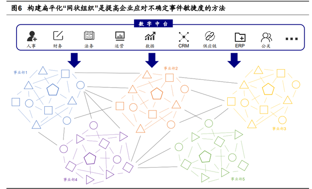 珀莱雅组织架构图片