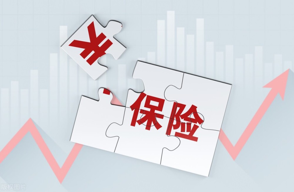 《人工计划软件排行-中国财险交流与思考》