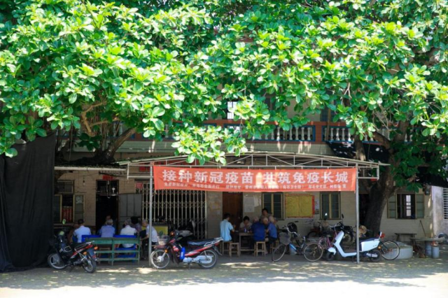 雷州二手交易：让旧物焕发新生