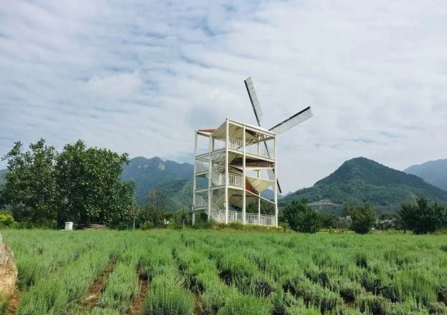 渭南植物园位于渭南市临渭区秦岭北麓阳