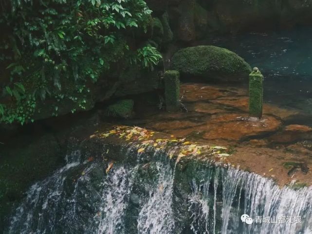 給夏日山林增添一抹別樣韻味零零散散灑落下來,碎成點點金色光斑燦爛