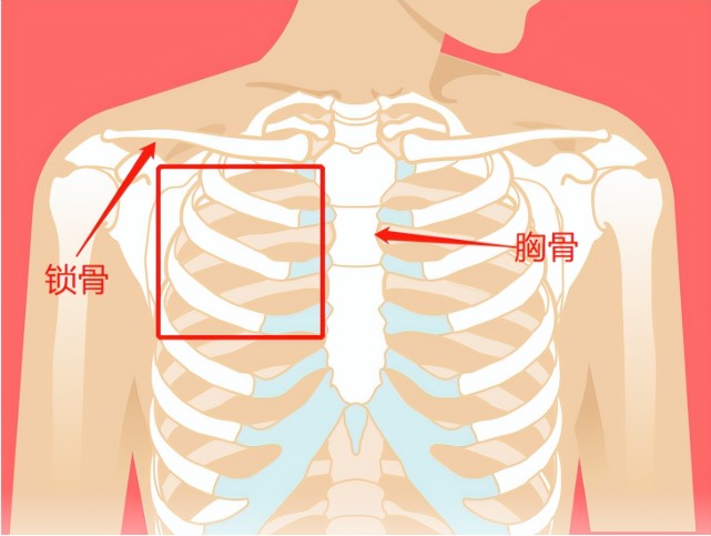 心脏骤停的黄金抢救4分钟如何正确使用aed