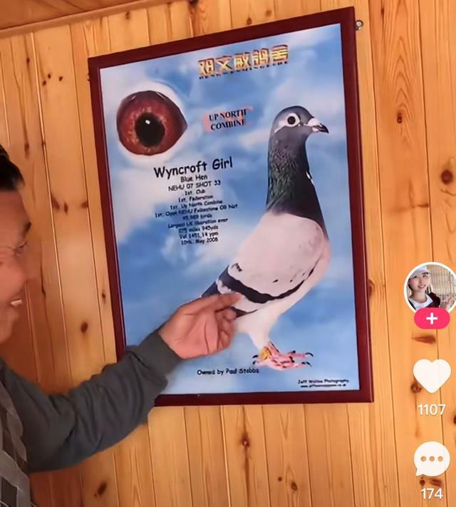 天津开创"世界杯"首关,邓文敏19进15,"漂亮女孩"功不可没