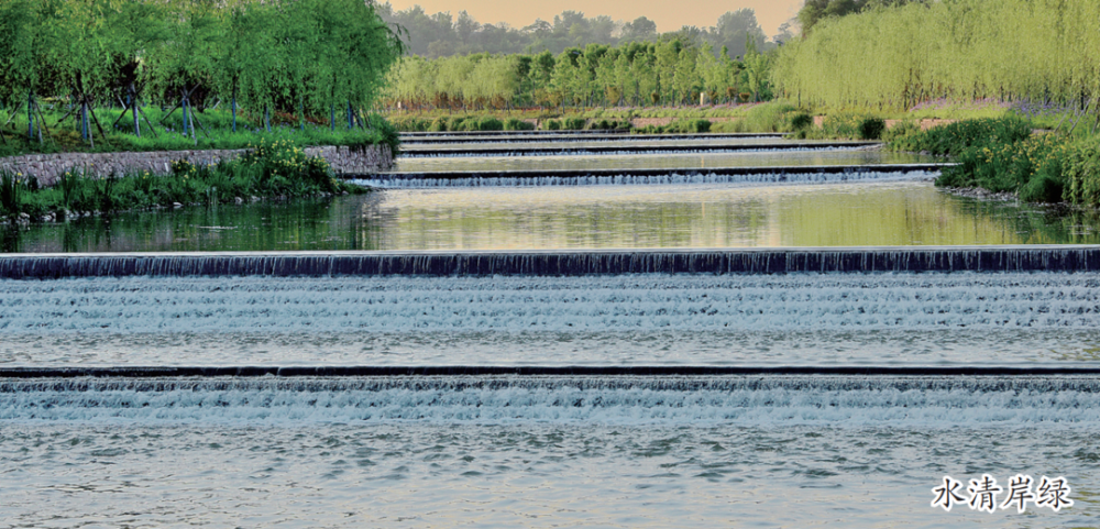 美丽河南66瀍河风光美白鹭翩翩飞