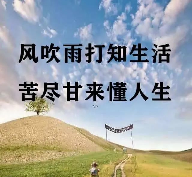 风吹雨打「风吹雨打是指什么生肖」