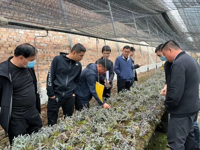 视频推荐总监制:史果红 宋继生 监制:张鹏审核:王海洲 编辑:董梦媛