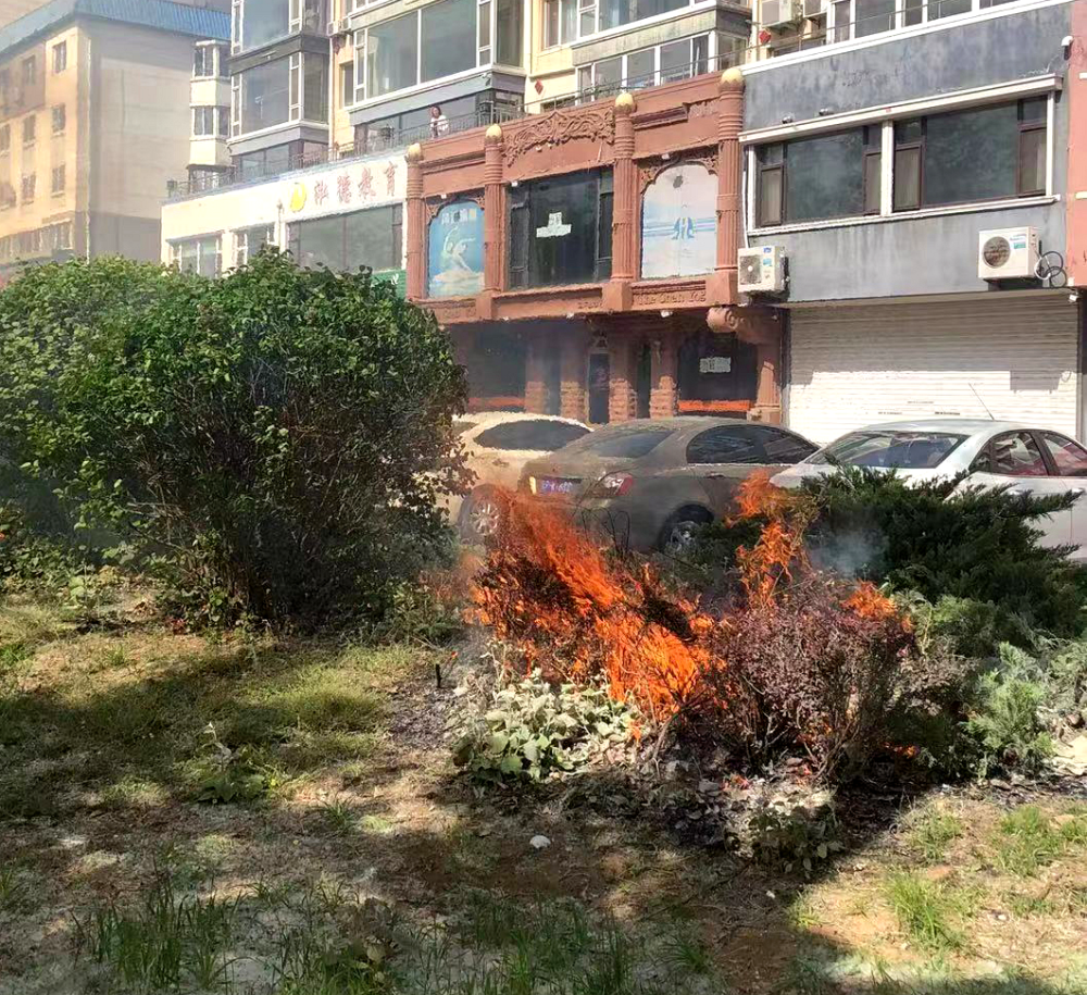 葫芦岛小区绿化带中突然起火 警民合力扑灭