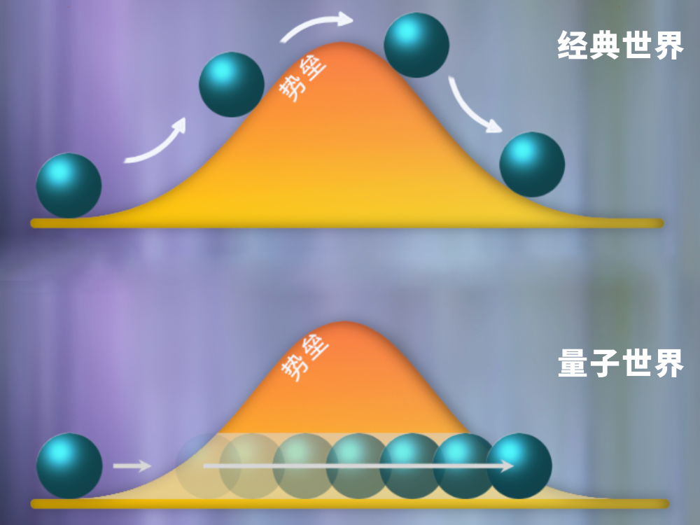 DNA中的量子效应