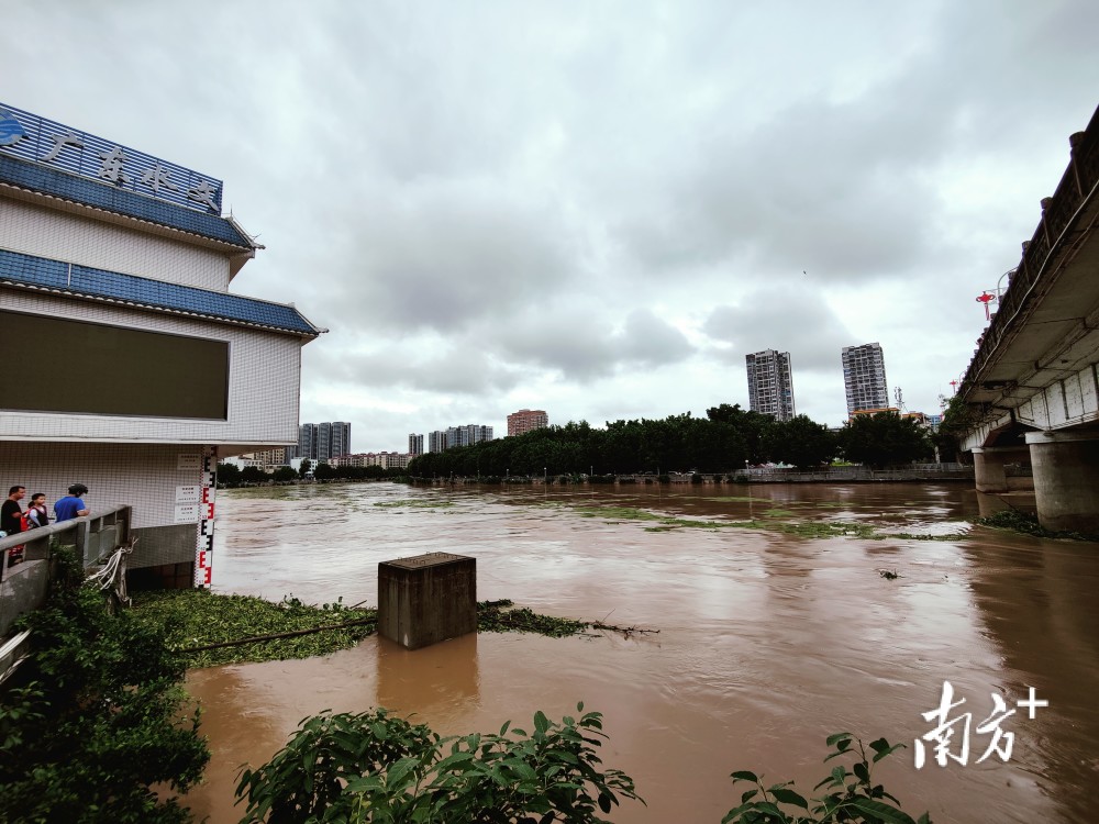 5月13日晚西江洪峰即将通过肇庆河段