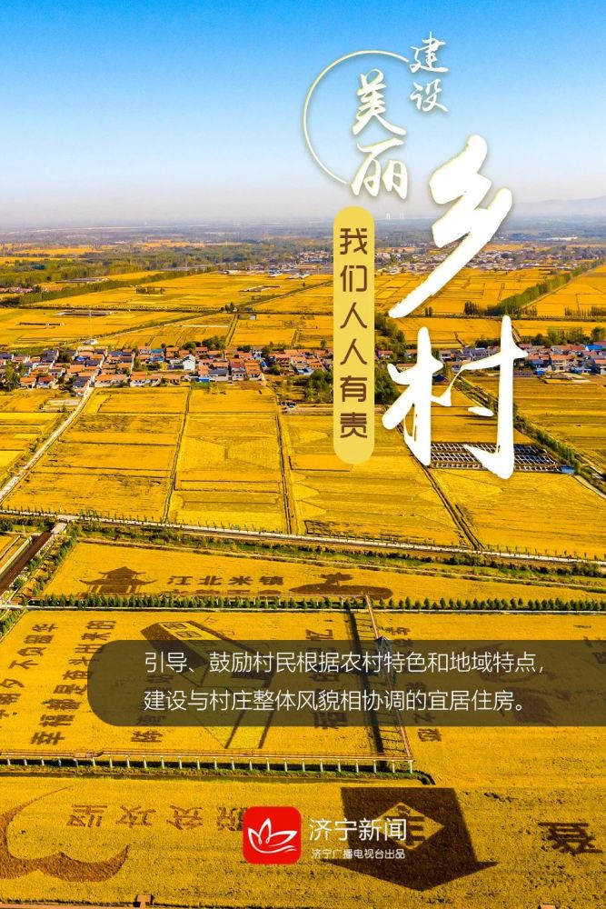 海报建设美丽乡村我们人人有责