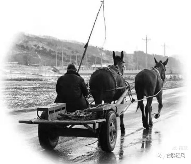 六十年代,井陉生产队的马车运输曾是重要的副业收入!