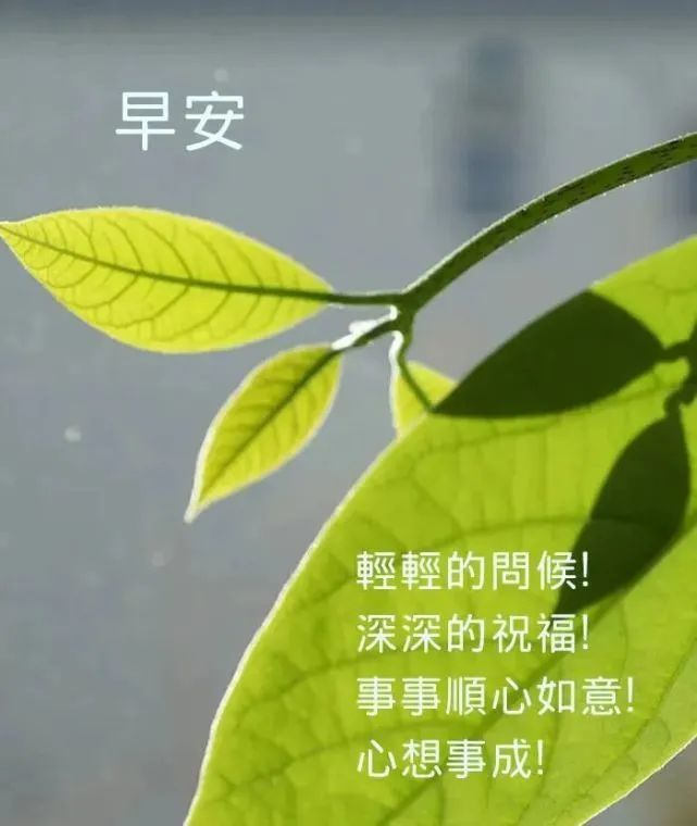 创意好看的早安图片带字带祝福语唯美早安问候祝福图片文字精选