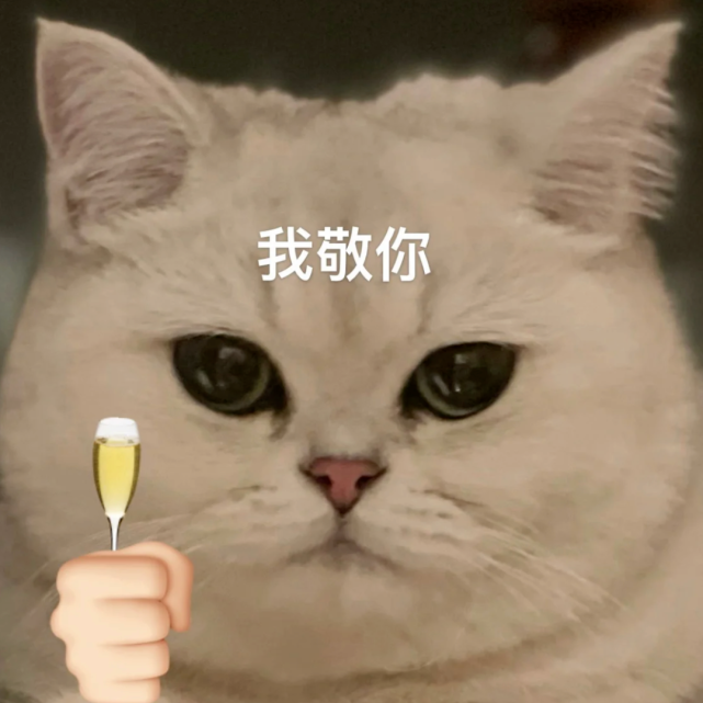 日常聊天表情包|做核酸啦