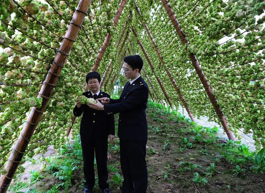 关长访谈重庆海关关长谢斌