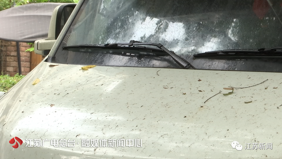 车停树下落满油滴罪魁祸首就是它