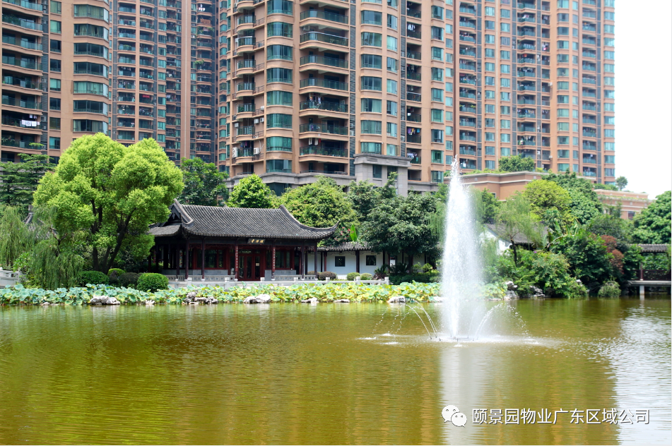 企業動態頤景園物業傳承共建南海頤景園舉行十大景觀揭幕暨首批導賞員