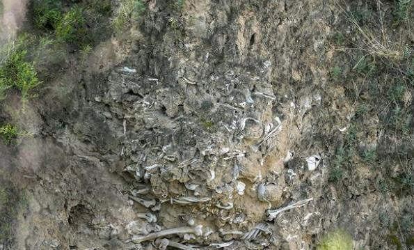 山西大山发现万人坑七万多人被掩埋露出了白骨