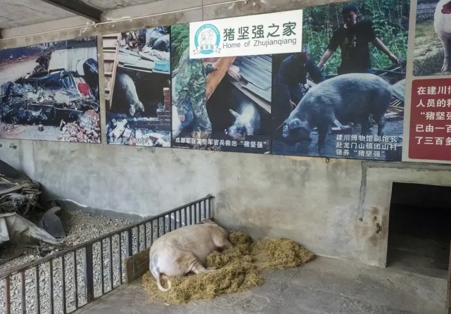 汶川地震博物館中的