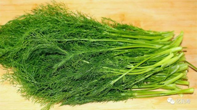 茴香虽然价廉,但对人的7大功效,可能是其他食物比不了的