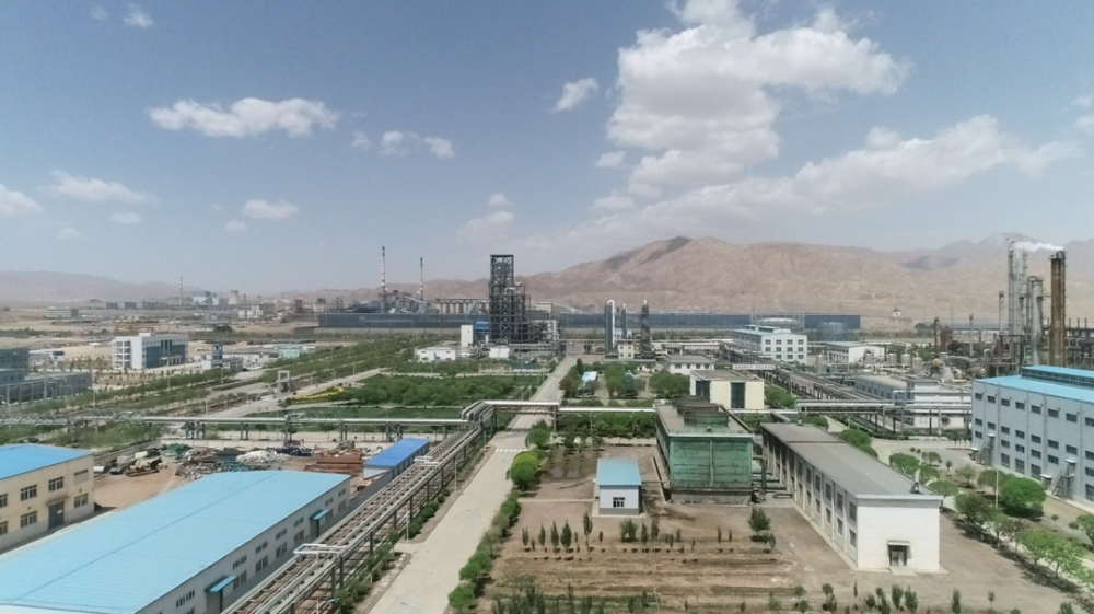 奋进新征程建功新时代喜迎省第十四次党代会金化集团降本增效促发展