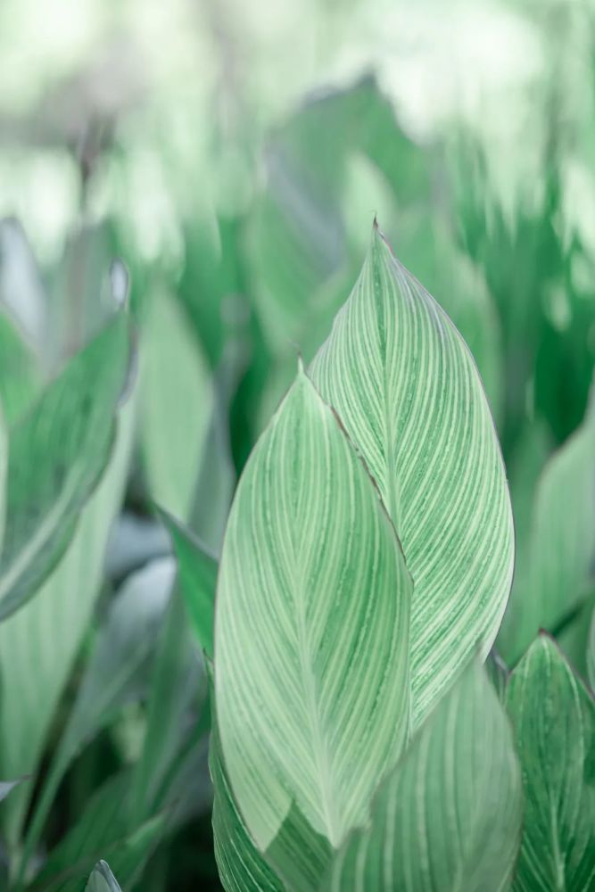 春日流行的"薄荷绿"色调!学完都给我发朋友圈去!_腾讯新闻