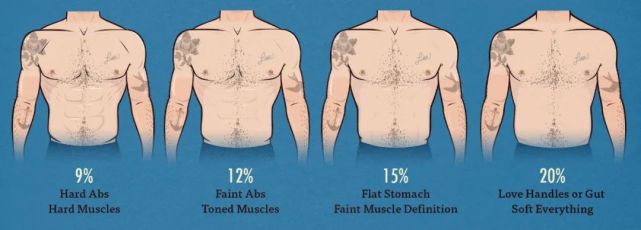 想要看到明显的腹肌,男生体脂率应该在10%左右,女生应该在15%左右.