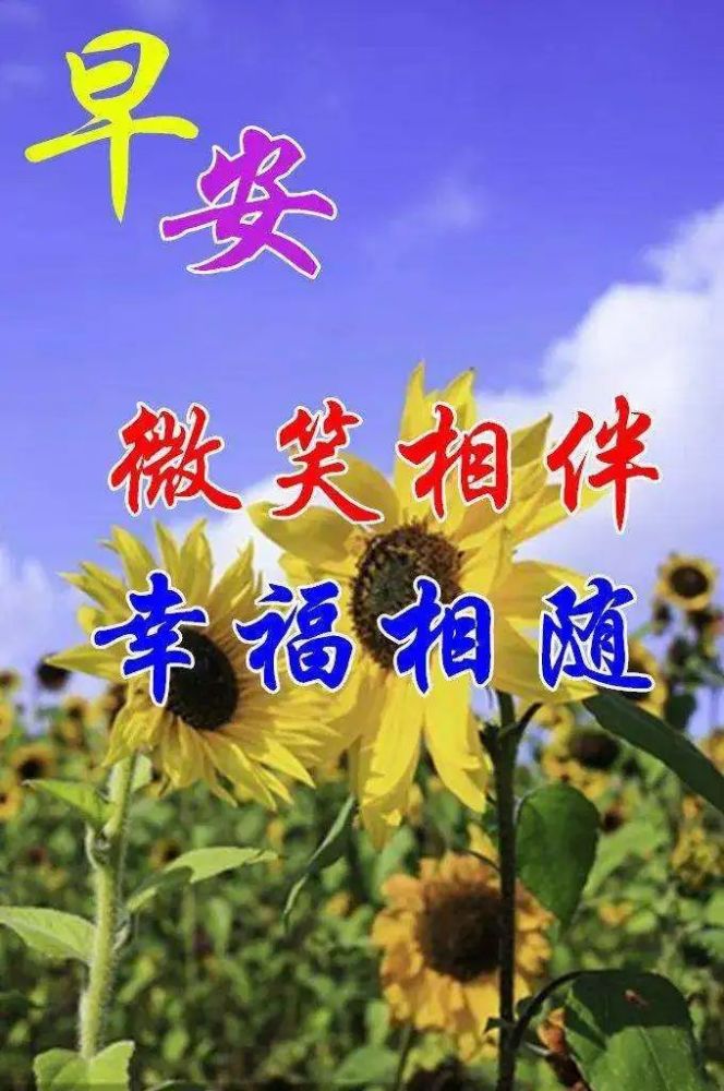 清晨充滿陽光的早安祝福圖片陽光美好祝福問候早安圖片